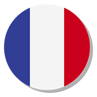 Icono bandera Francesa Cambio de Idioma